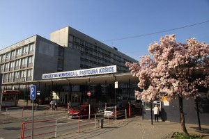 Univerzitná nemocnica